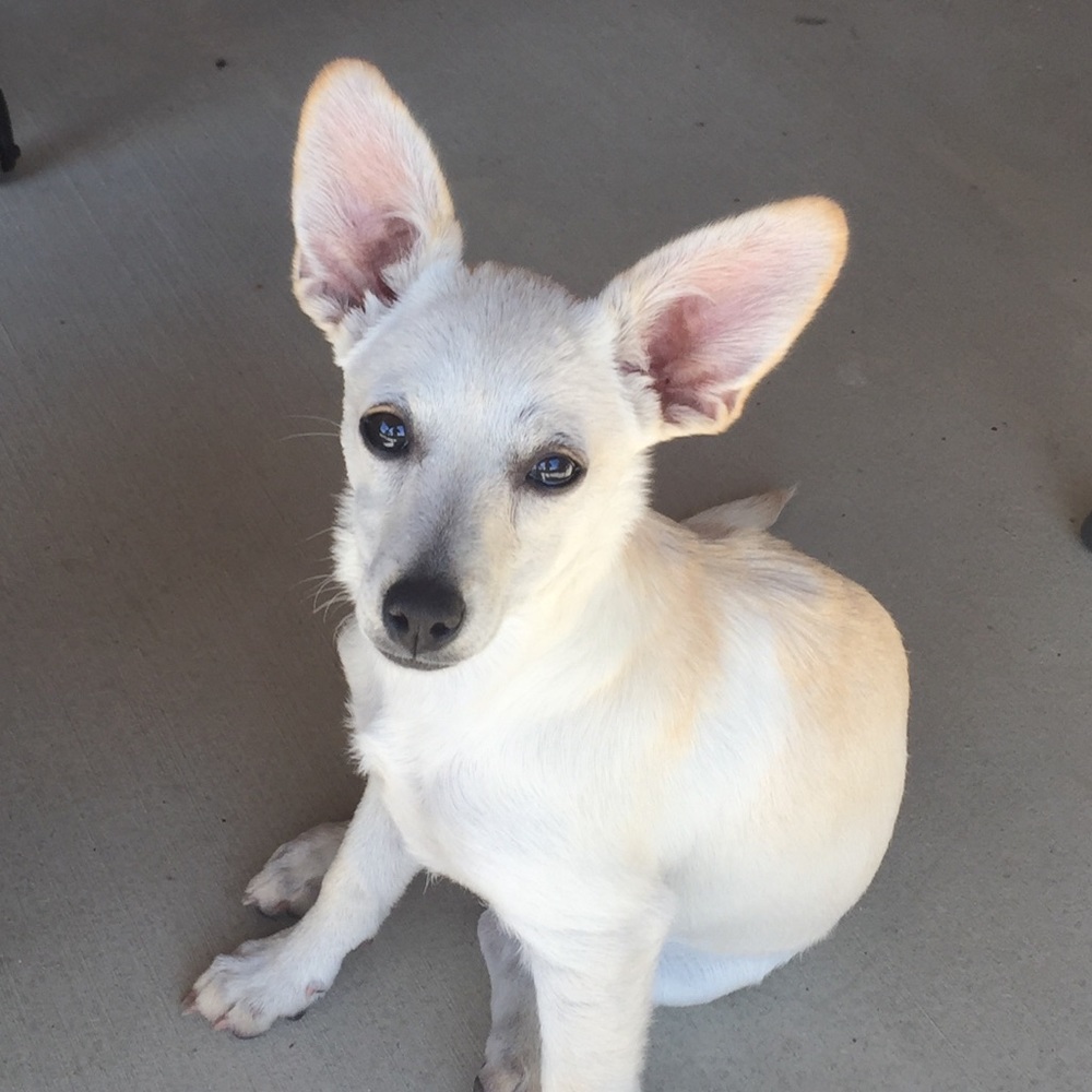 Meet your Posher, Katy